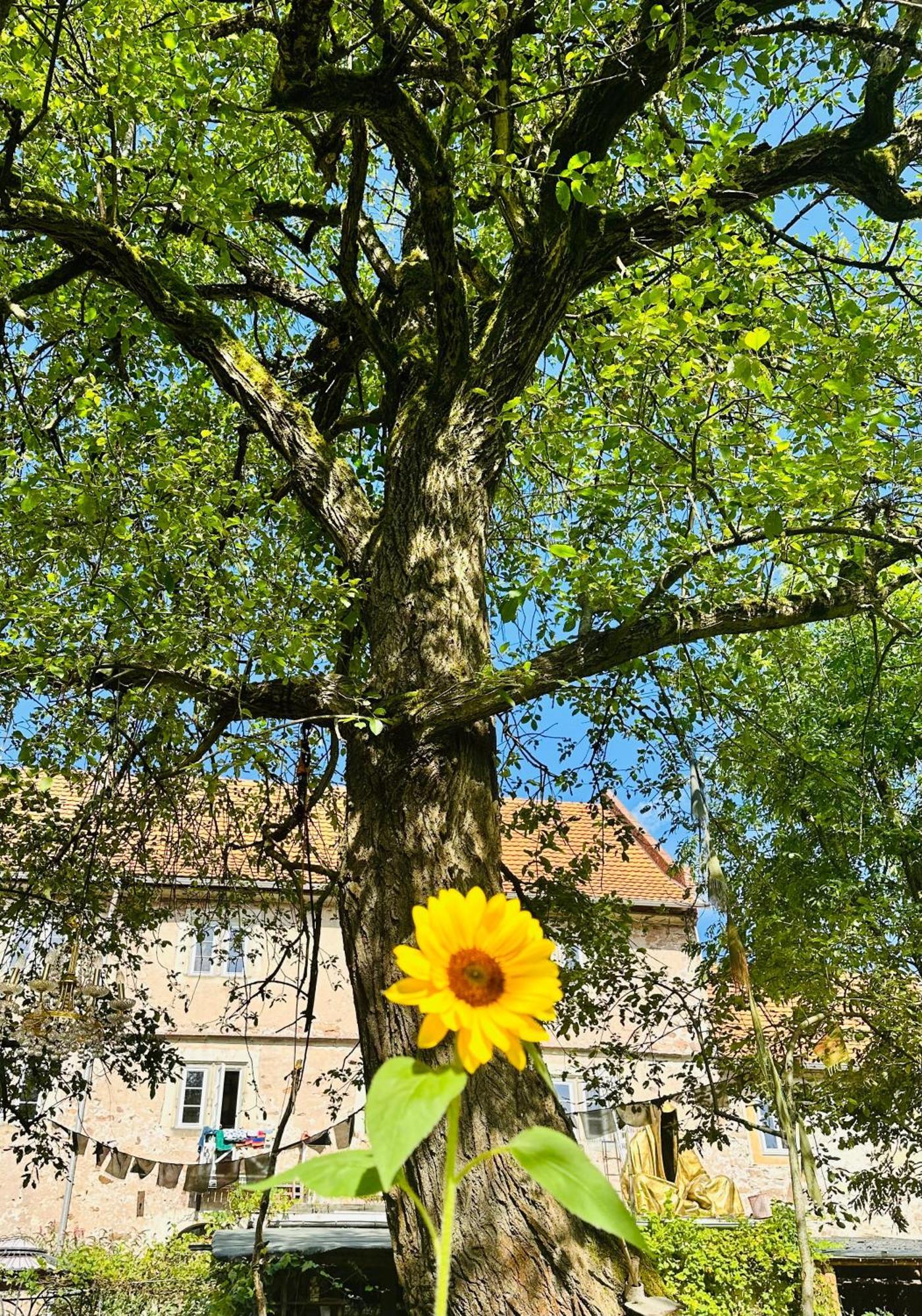 Ferienwohnung Therese Auf Schloss Weitersroda Hildburghausen Exteriér fotografie